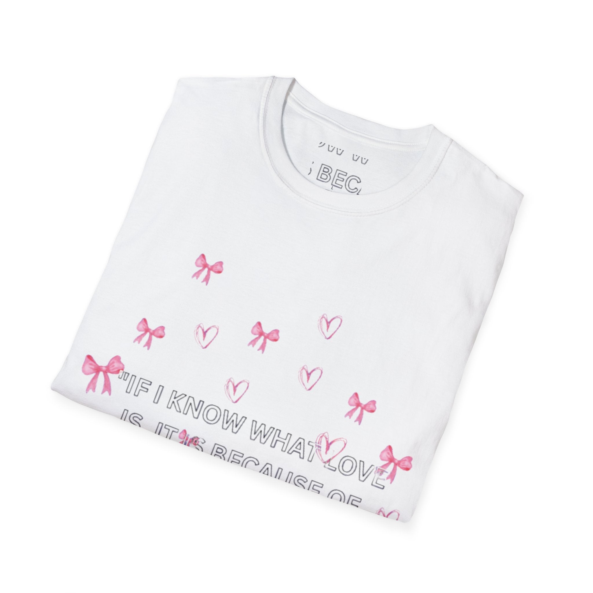 Unisex Softstyle T-Shirt